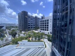 Kallang Way (D13), Factory #575912631